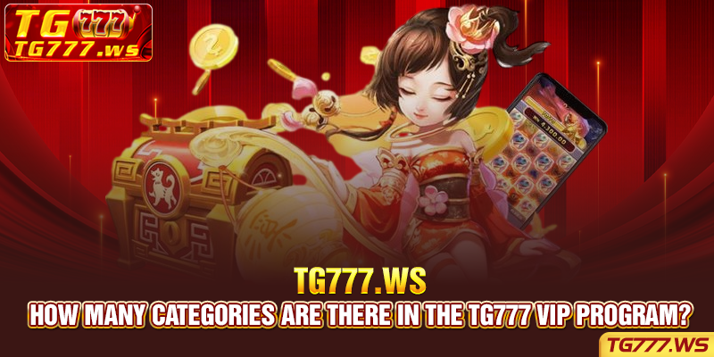 How many categories are there in the Tg777 vip program?