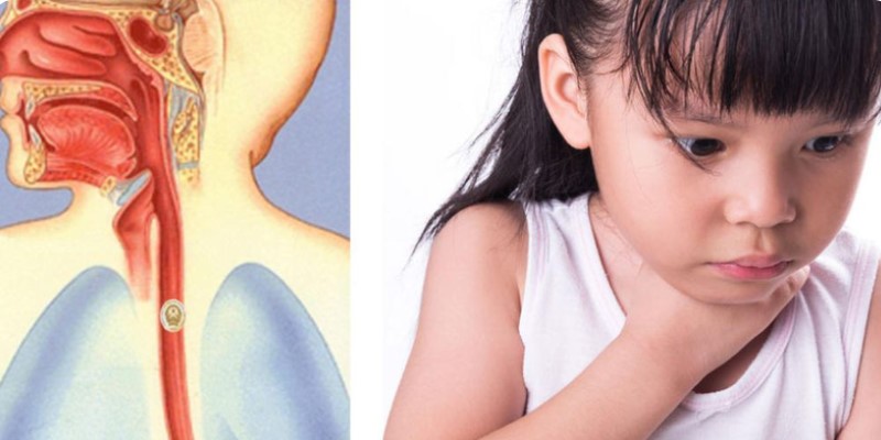 Numbers related to the dream of fish bone stuck in the throat